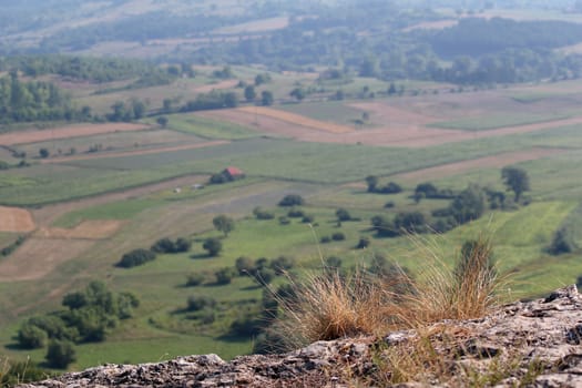 farmland landscape