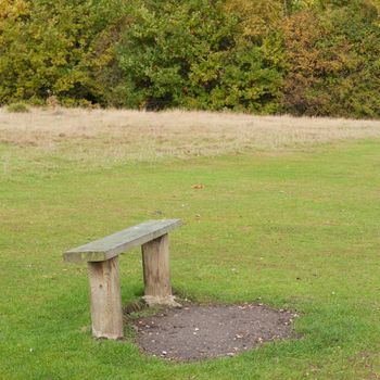 Wooden bench in a park in autumn. Highwoods Park, Colchester, England, United Kingdom.