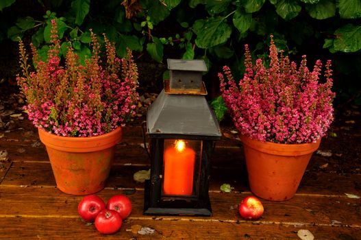 Autumn garden decor with heather, candlelight and apples