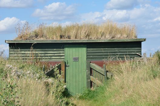 Camouflaged Bird Hide