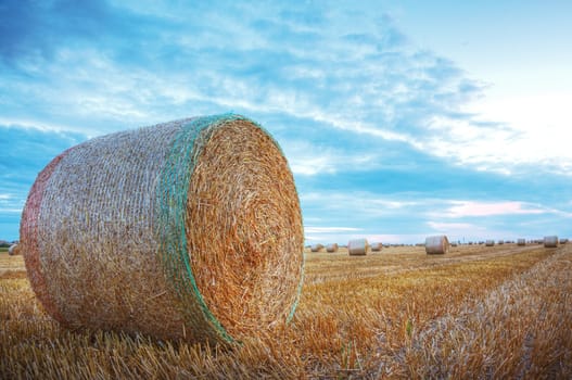 Image of a field with hay bales at the sunset.