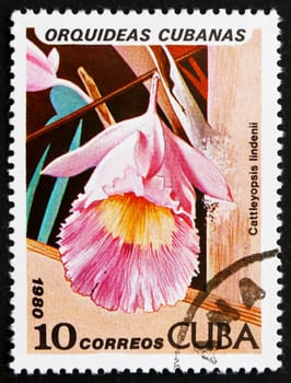 CUBA - CIRCA 1980: a stamp printed in the Cuba shows Linden�s Cattleyopsis, Cattleyopsis Lindenii, Orchid, circa 1980