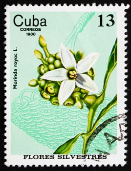 CUBA - CIRCA 1980: a stamp printed in the Cuba shows Silverleaf Redgal, Morinda Royoc, Wildflower, circa 1980