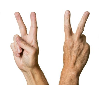 Pair of caucasian hands in V sign of senior middle aged male isolated against white
