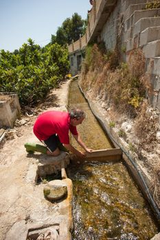 Water to irrigate traditional fruit tree plantations