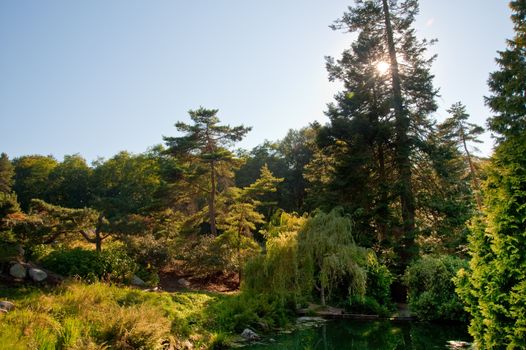 Kubota Garden in Seattle WA