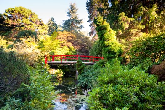 Kubota Garden in Seattle WA