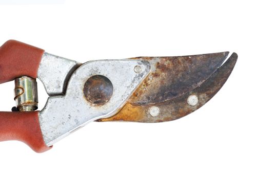 Detail of the old rusty clippers - garden shears