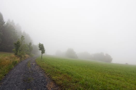 Shot of the misty landscape - meadow and country road