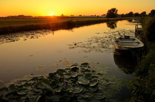 Sunset in a landscape in rural Holland with a ditch, an old boat and a bunch of waterlily.