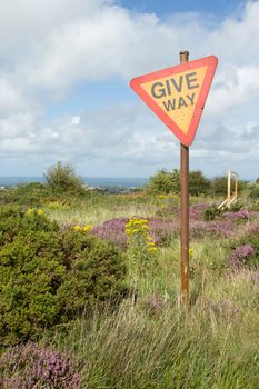 A sign on a post with the words 'GIVE WAY' amongst plants against a blue sky with clouds.