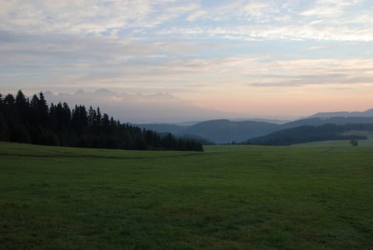 Green meadow between two forest in Tatras, Slovakia