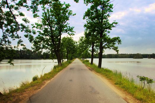 Road leading between two lakes in Trebon, Czech republic 