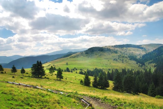 Green meadow between and forest in Tatras, Slovakia