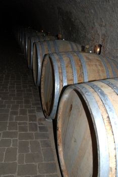 Old wine cellar with barrels covered by mold