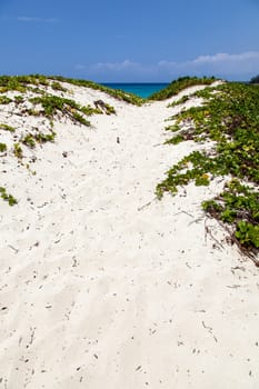 A sandy path leads to ocean