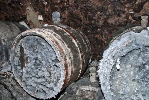 Old wine cellar with barrels covered by mold