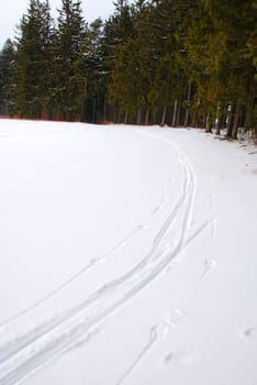 View at a frozen field and forest covered by snow