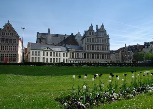 Beautiful gabled houses along tulip field. Gent, Belgium. 