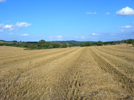 Wheat field shortly after the harvest and a blue sky