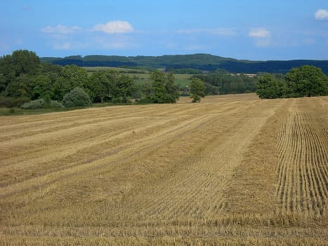 Wheat field shortly after the harvest and a blue sky