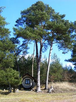 Old pine tree and a strange house in the barrel shape          