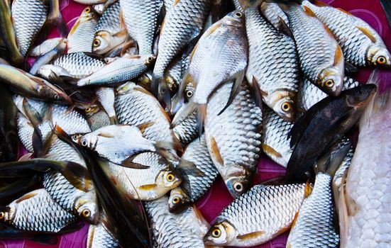 Many fish in a basket placed on the market.