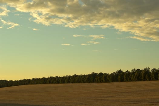 beautiful image of rural landscape with trees and sky 