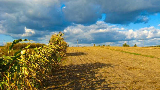 Beautiful landscape with clouds and a kitchen garden