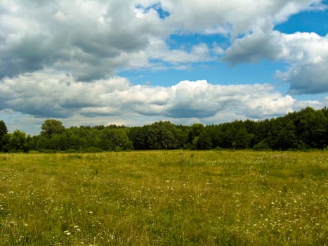 summer landscape with field, forest and blue sky