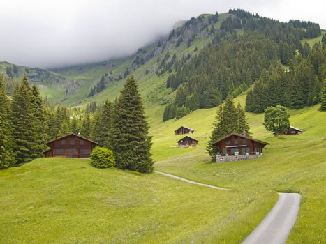 Group of Swiss styled huts in the valley of First, Grindelwald, Switzerland