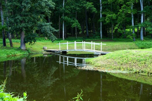 The wooden bridge on a background of water and plants