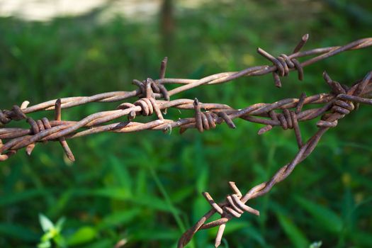 the metal wire on green background