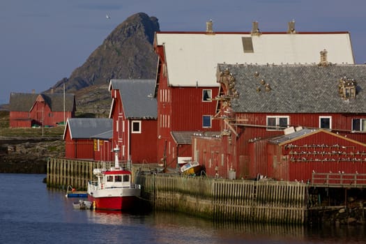 Traditional fishing harbor with seagulls on islands of Rost on Lofoten islands in Norway