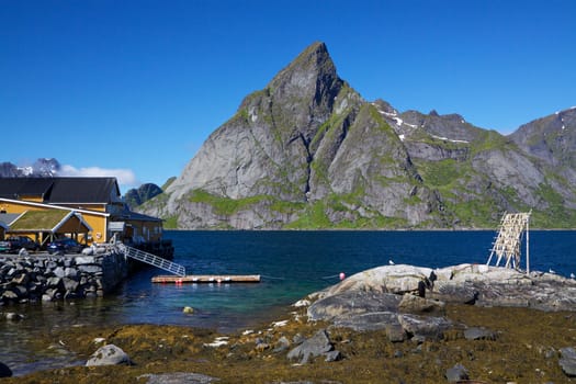 Traditional fishing harbor and dried stockfish on Lofoten islands in Norway