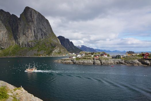 Traditional norwegian fishing boat surrounded by seagulls sailing through fjord