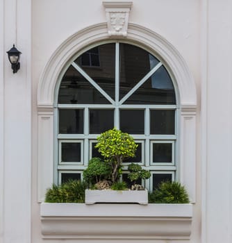 Arch window with bonsai decoration and street lamp reflection.