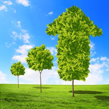 Green grass word success against blue sky