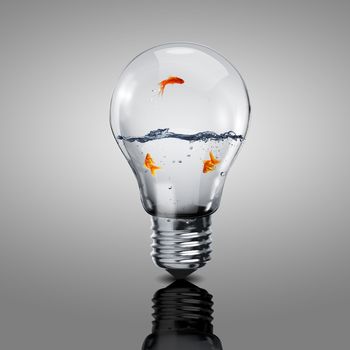 Gold fish in water inside an electric light bulb