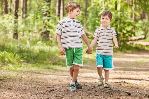 Family happiness - two little smiling child boy brothers walking outdoor