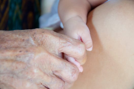 baby hand and old woman hand