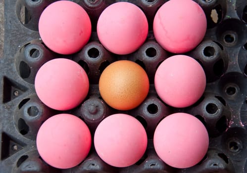 brown and pink egg for food