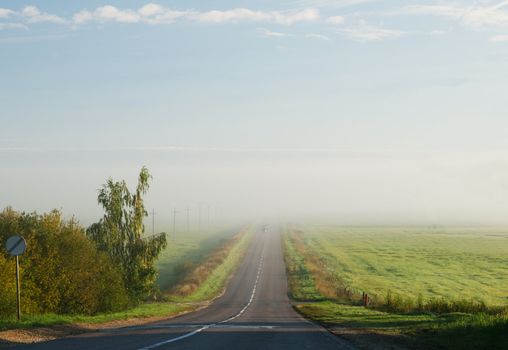 The road between the fields in the morning