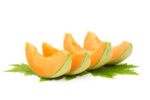 cantaloupe melon