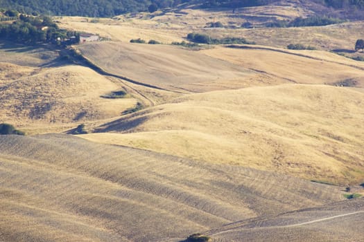 view of typical Tuscany landscape in summer, Italy