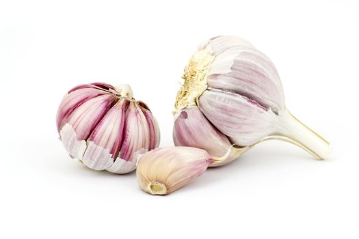 fresh garlic