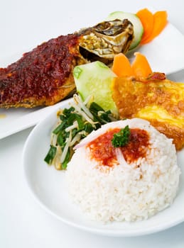 asia food and rice malaysia