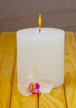 A candle and an orchid over wooden background