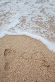 footprint and carbon dioxide imprints on the beach