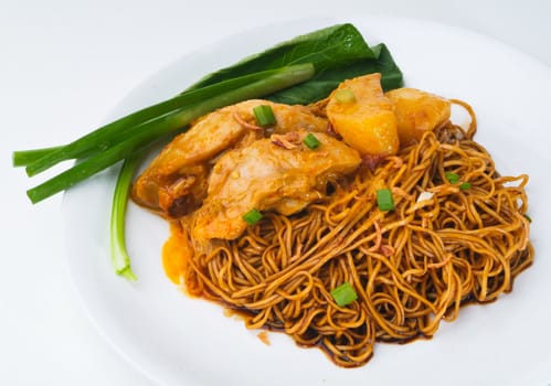 Wanton noodle. Malaysia Food: dried wanton noodle